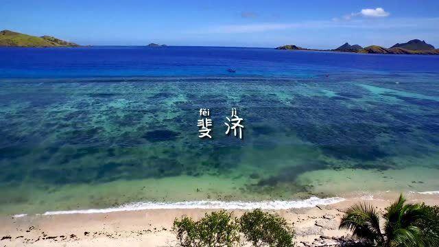 西洋参的“搭档”找到了，建议经常泡水喝